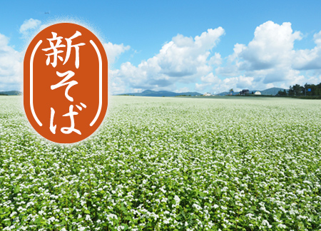 採れたて「新」へぎそば