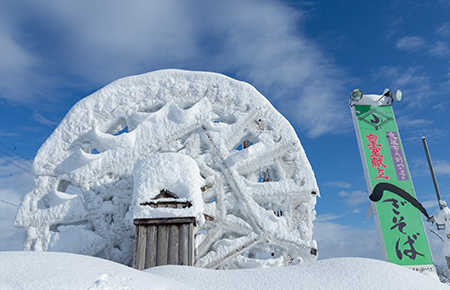 こだわりの逸品