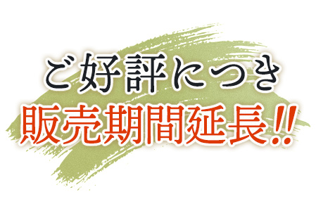 ご好評につき販売期間