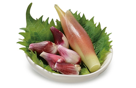 生へぎそば、生そうめんを引き立たせる薬味